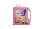 Northfork Liquid Hand Wash - Guava, Papaya and Cucumber, 2L (Carton of 3)
