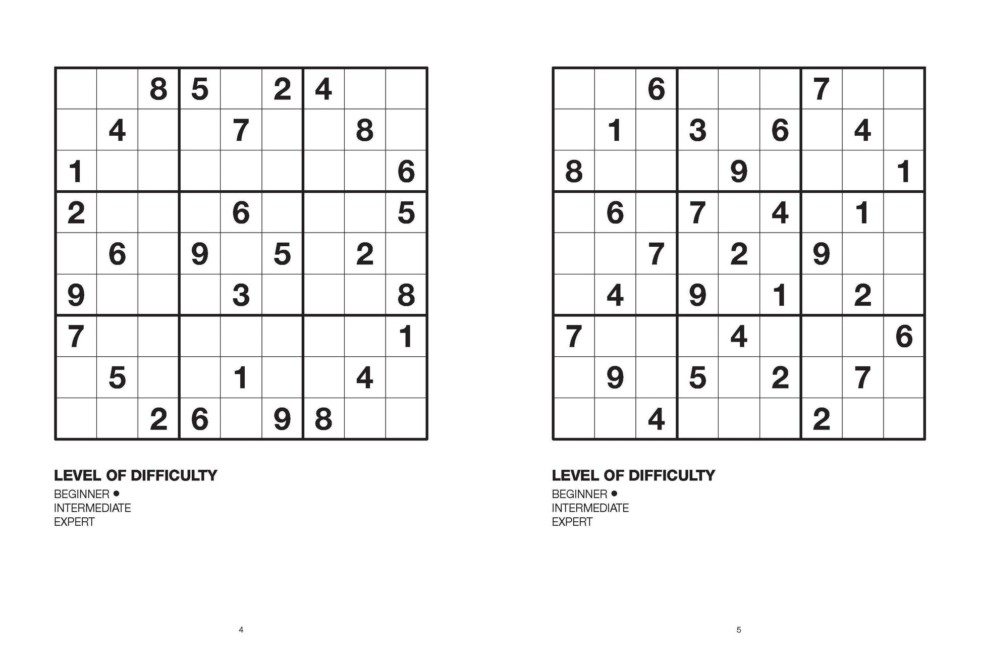 Large Print Puzzle - Sudoku — inside page 1