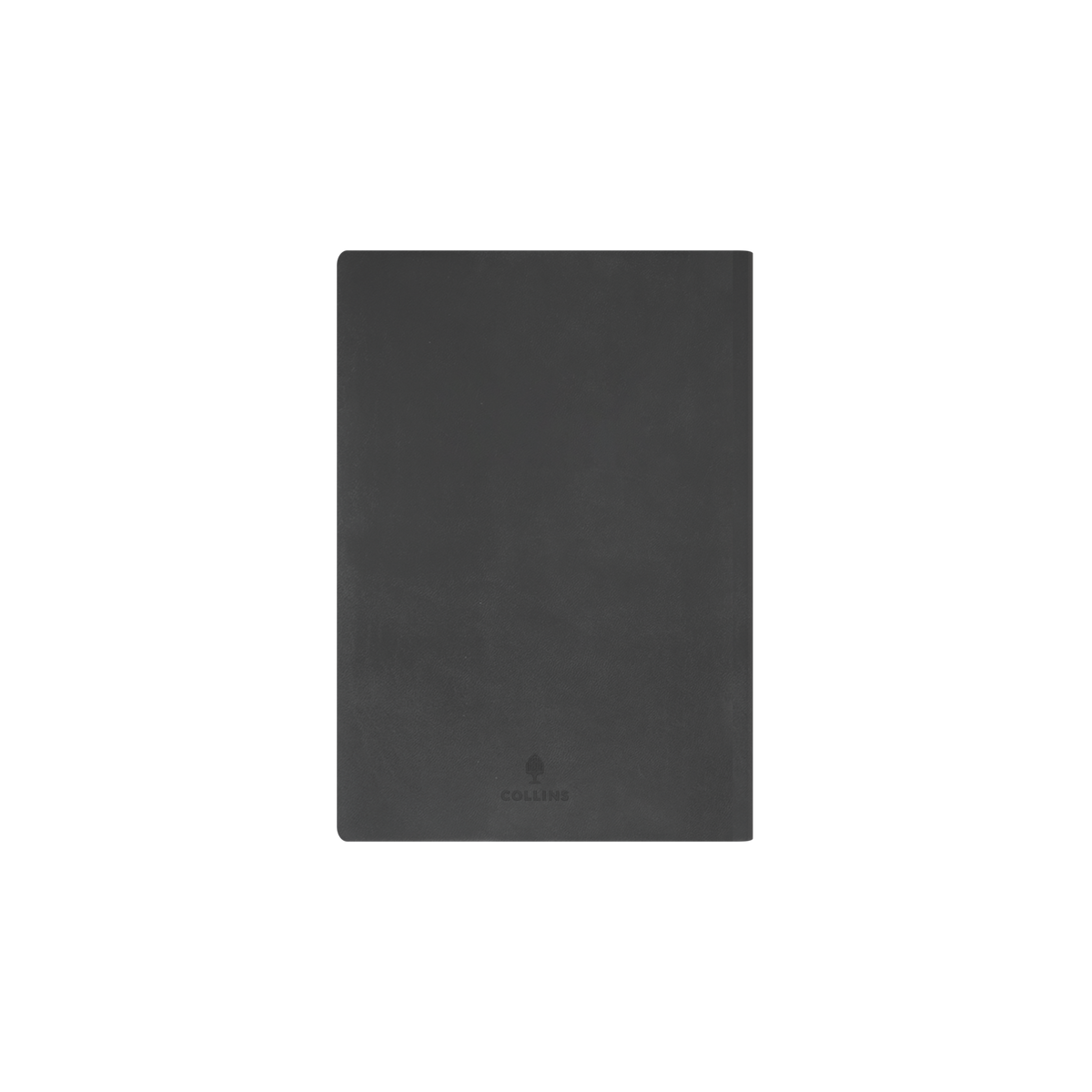 Collins Edge Rainbow 2027 Diary (A5, Week to View) - Charcoal - view 3