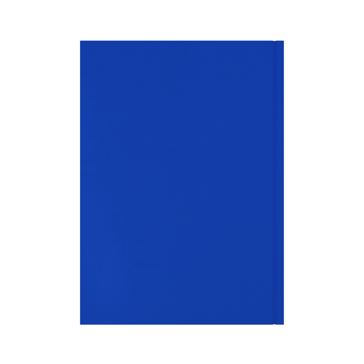 Collins Essential 2027 Diary (A4, Day to a Page) - Blue - view 3