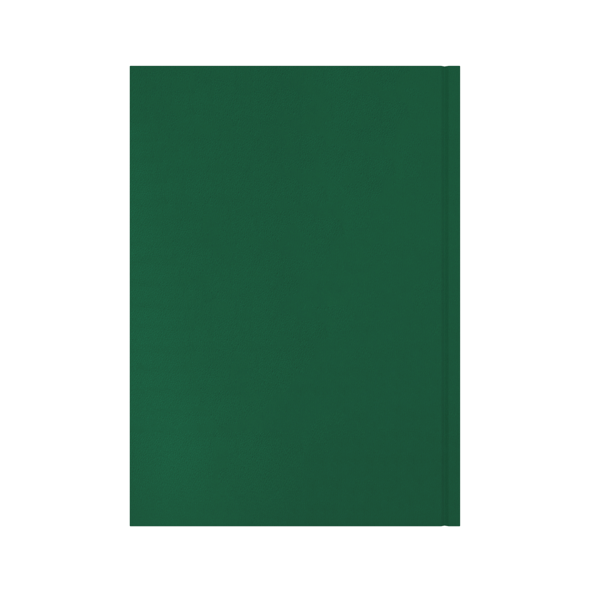 Collins Essential 2027 Diary (A4, Day to a Page) - Green - view 3
