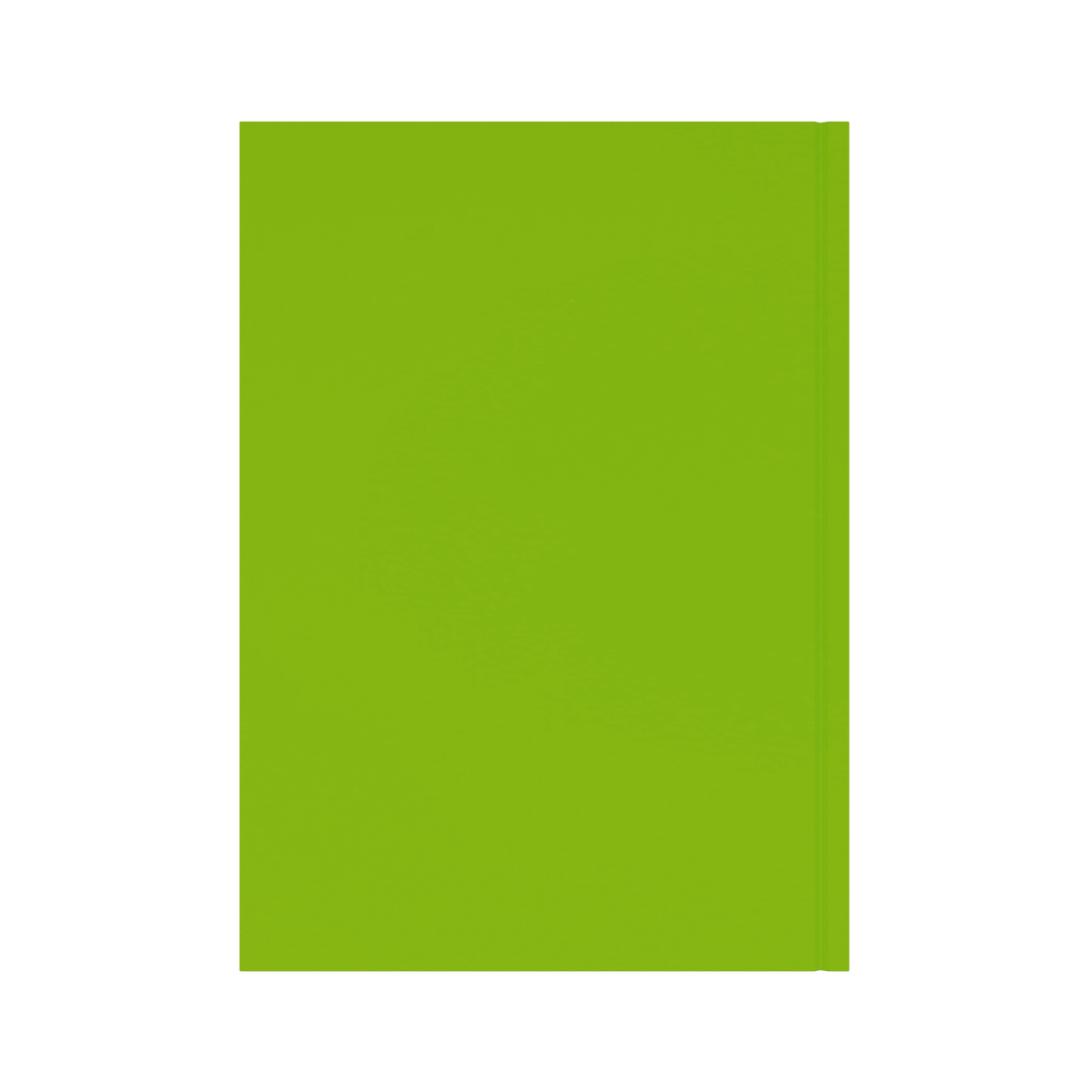 Collins Essential 2027 Diary (A4, Day to a Page) - Lime - view 3