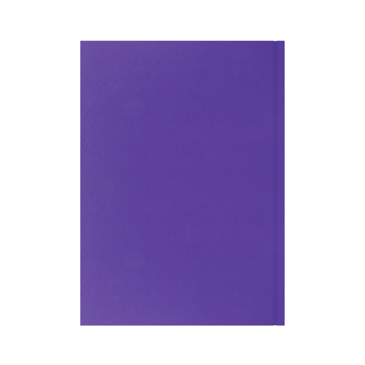 Collins Essential 2027 Diary (A4, Day to a Page) - Purple - view 3