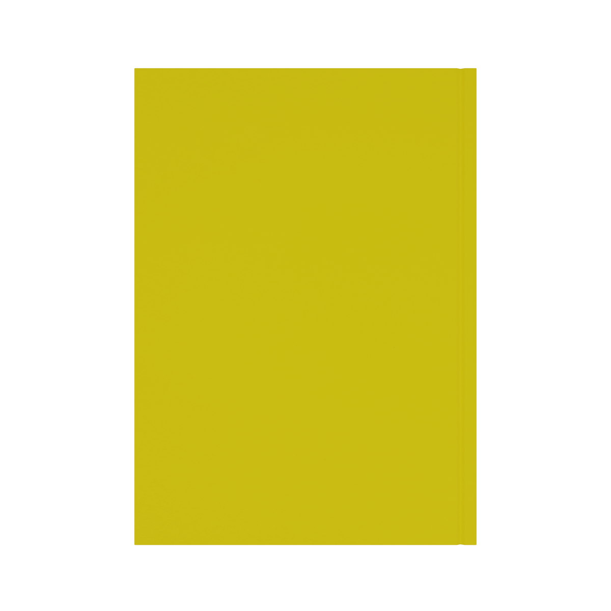 Collins Essential 2027 Diary (A4, Day to a Page) - Yellow - view 3
