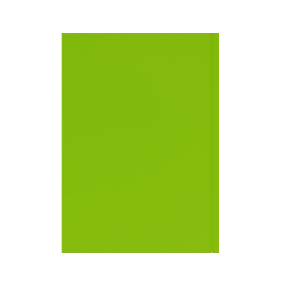 Collins Essential 2027 Diary (A4, Week to View) - Lime - view 3
