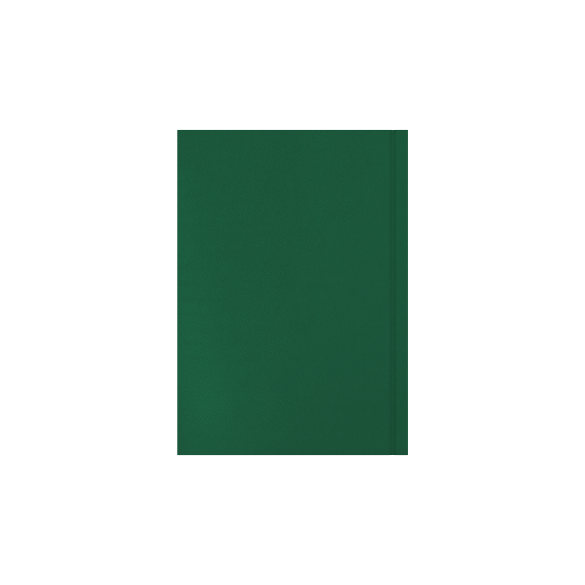 Collins Essential 2027 Diary (A5, Day to a Page) - Green - view 3