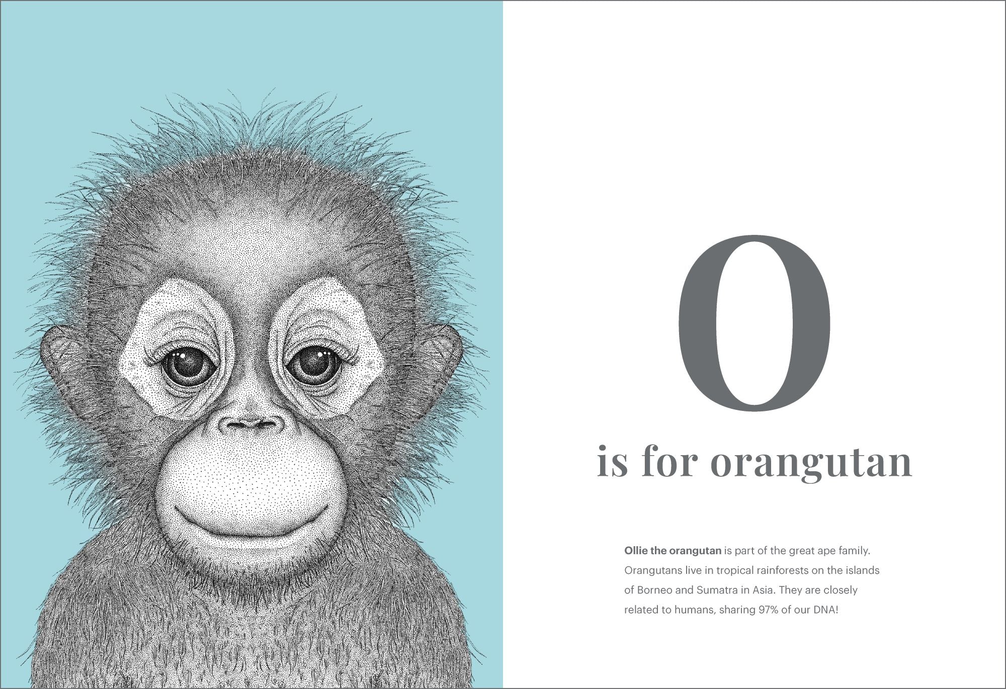 Dots by Donna - The Animal Alphabet — inside page 3