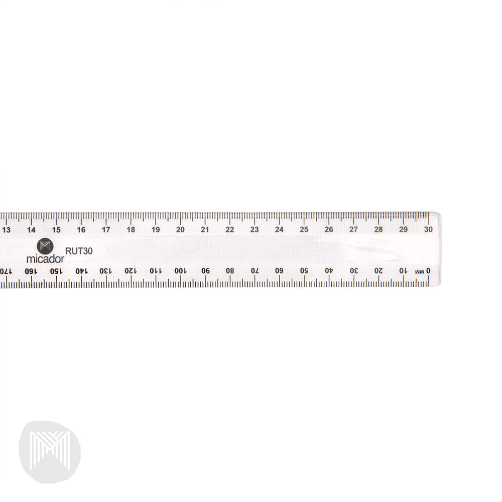 Plastic Ruler 30cm