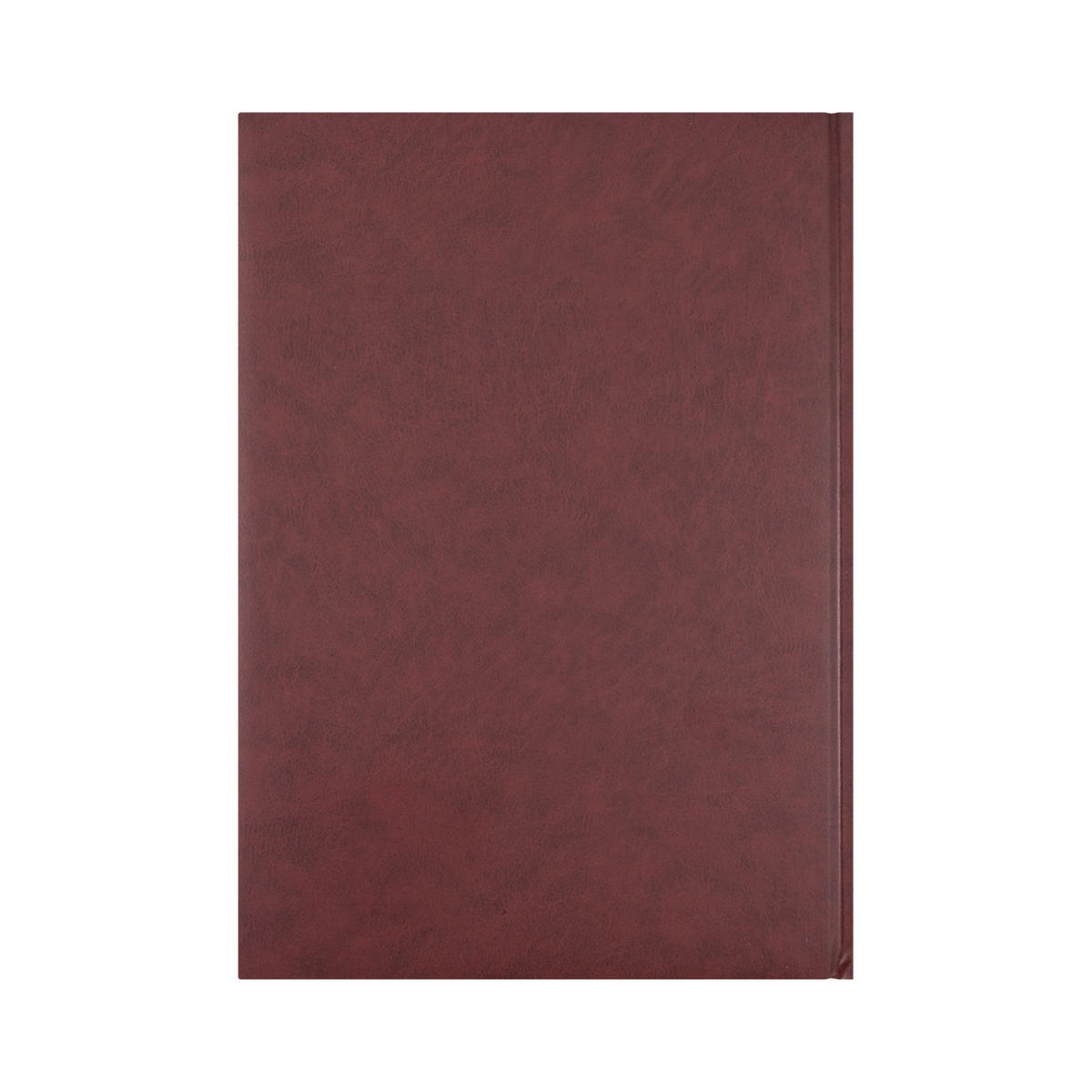 Collins 2027 Appointment Diary (A4, Day to a Page) - Burgundy - view 3
