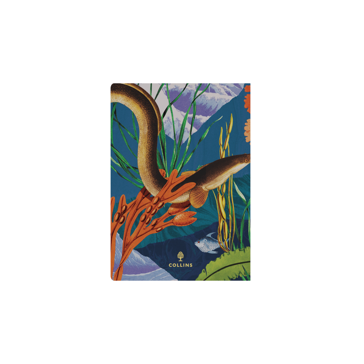 Collins Modern Organic 2027 Diary (A5, Week to View) - Turtle - view 3