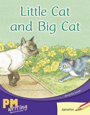 Little Cat and Big Cat - PM Writing