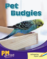 Pet Budgies - PM Writing