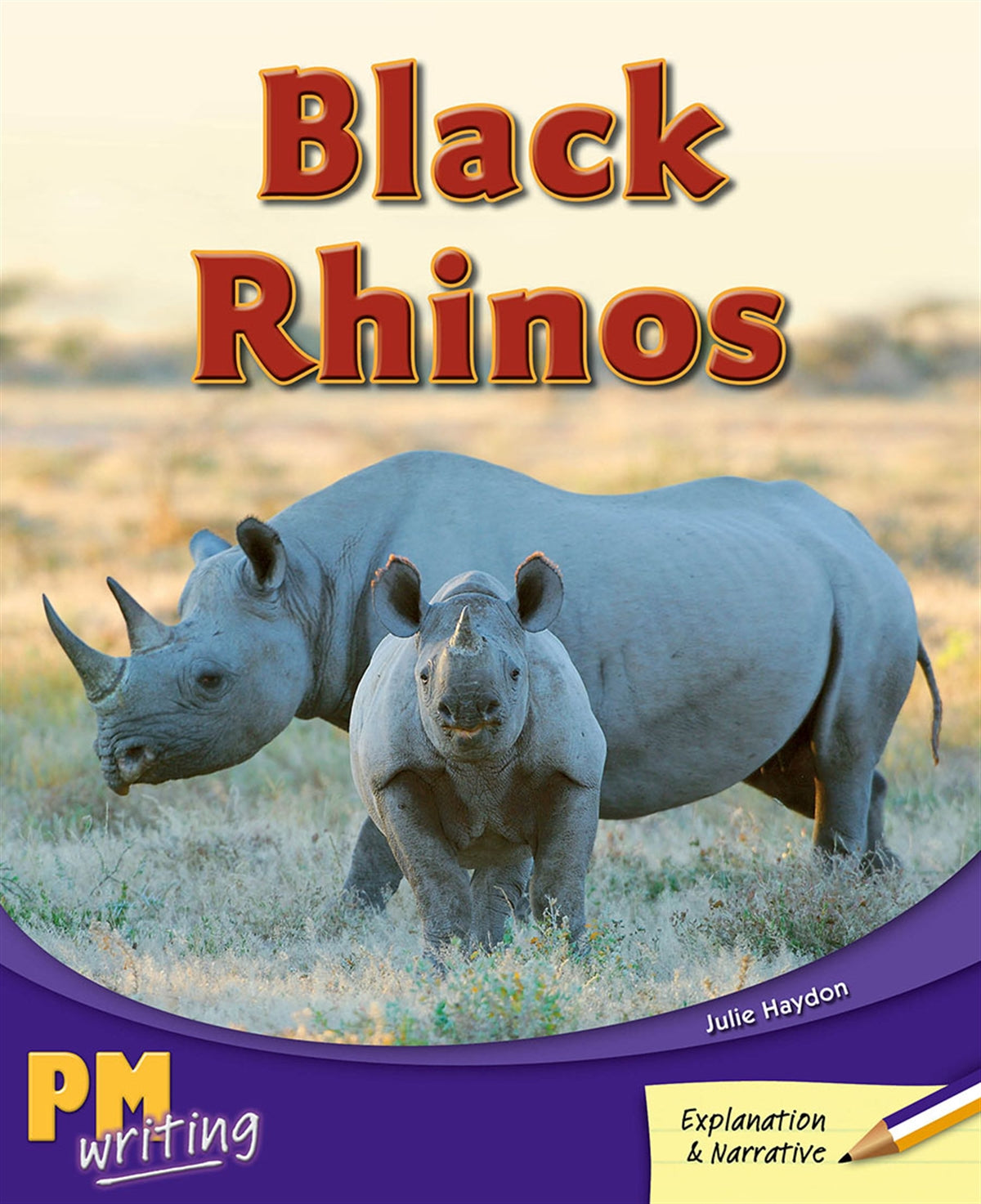 Black Rhinos - PM Writing