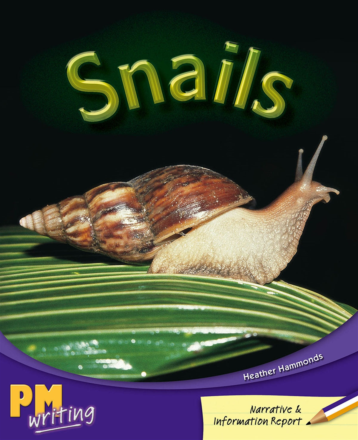 Snails - PM Writing