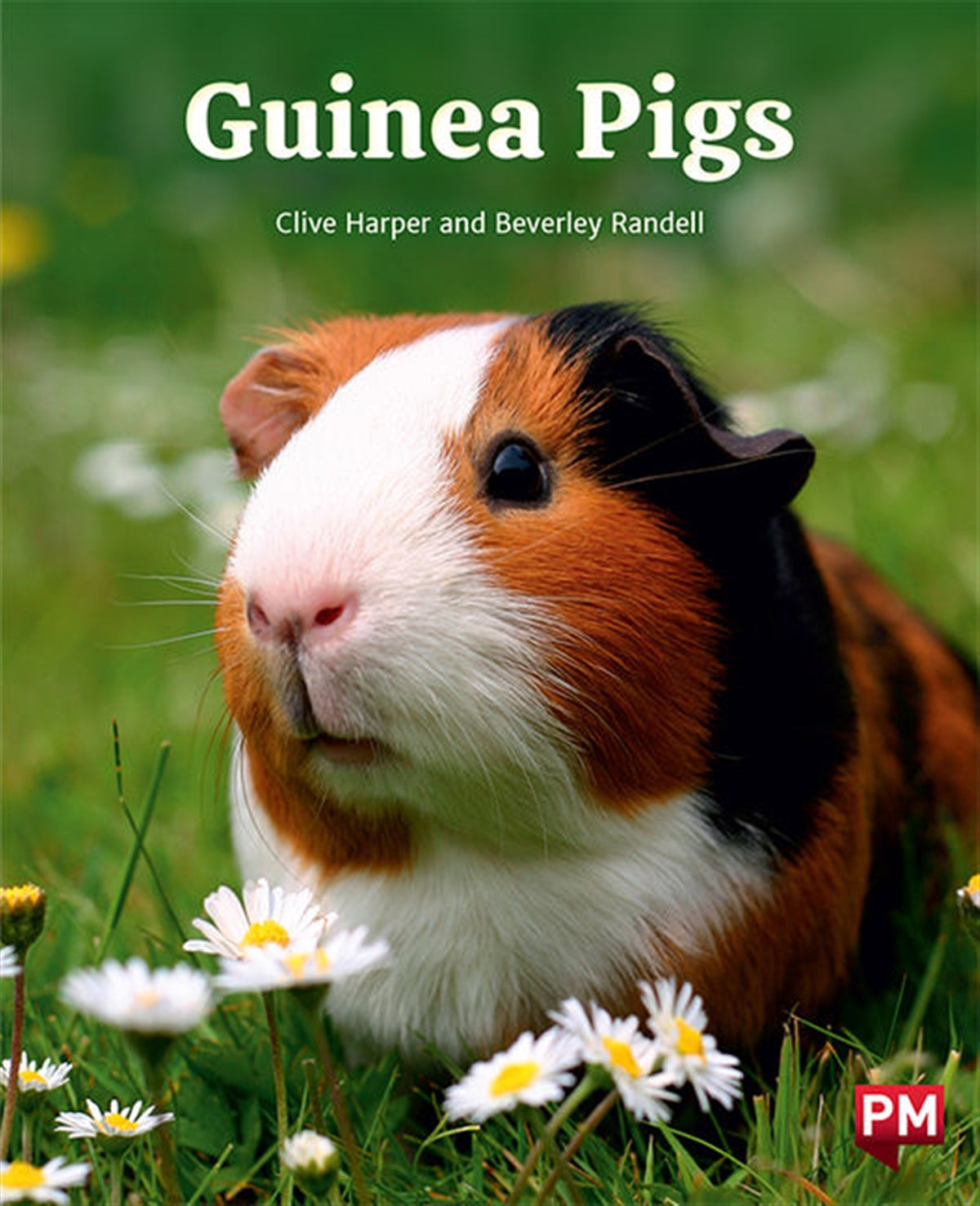 Guinea Pigs