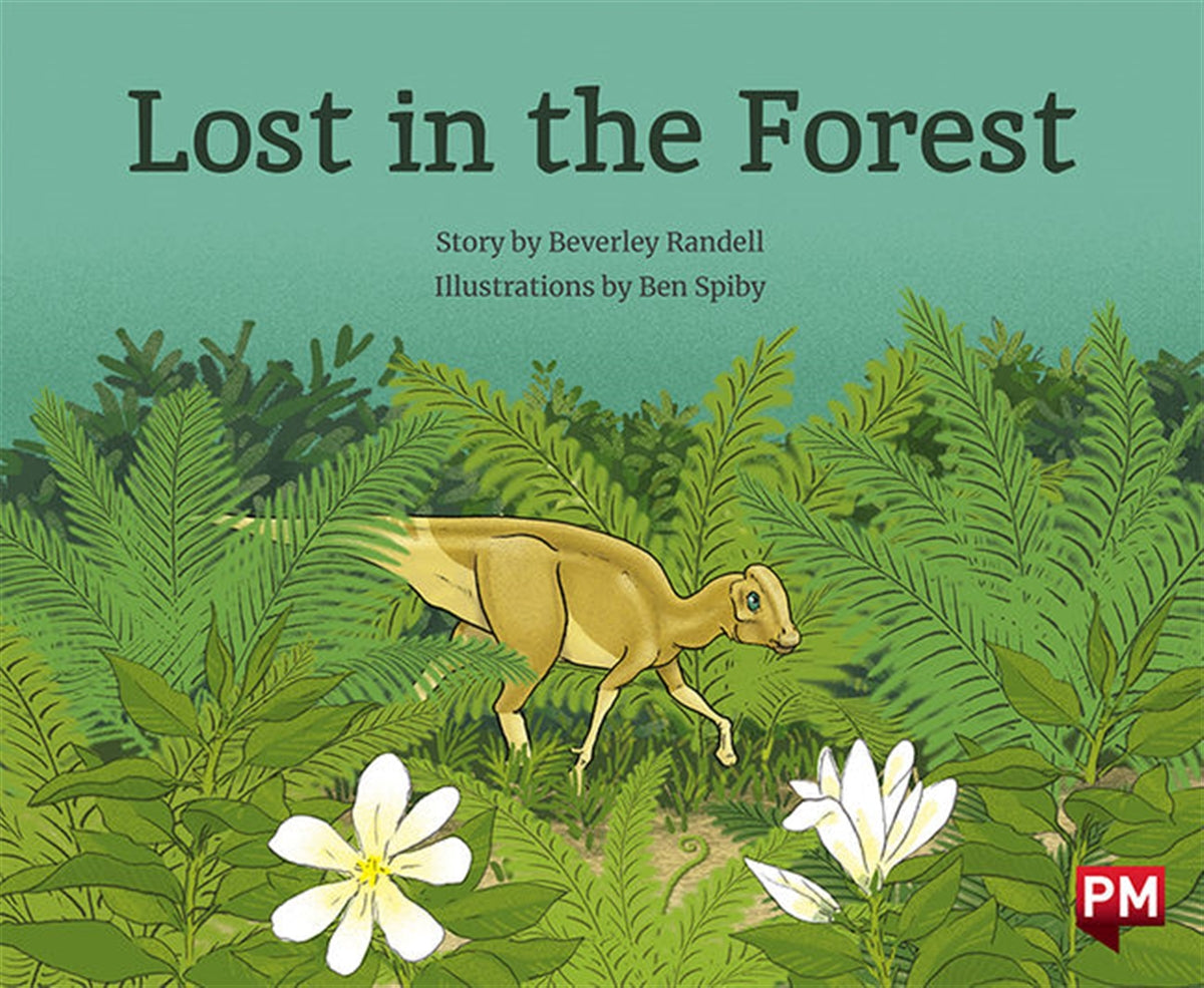 Lost in the Forest