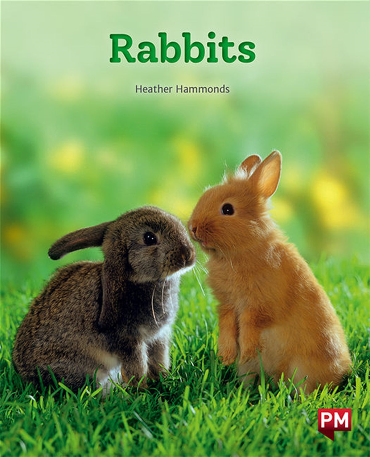 Rabbits