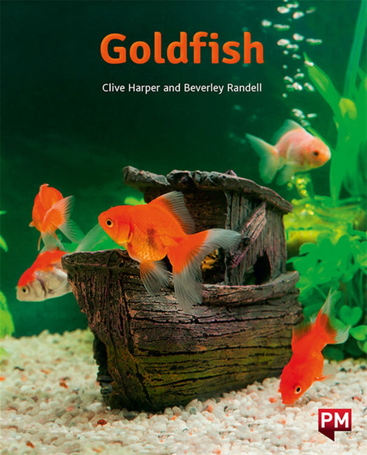 Goldfish