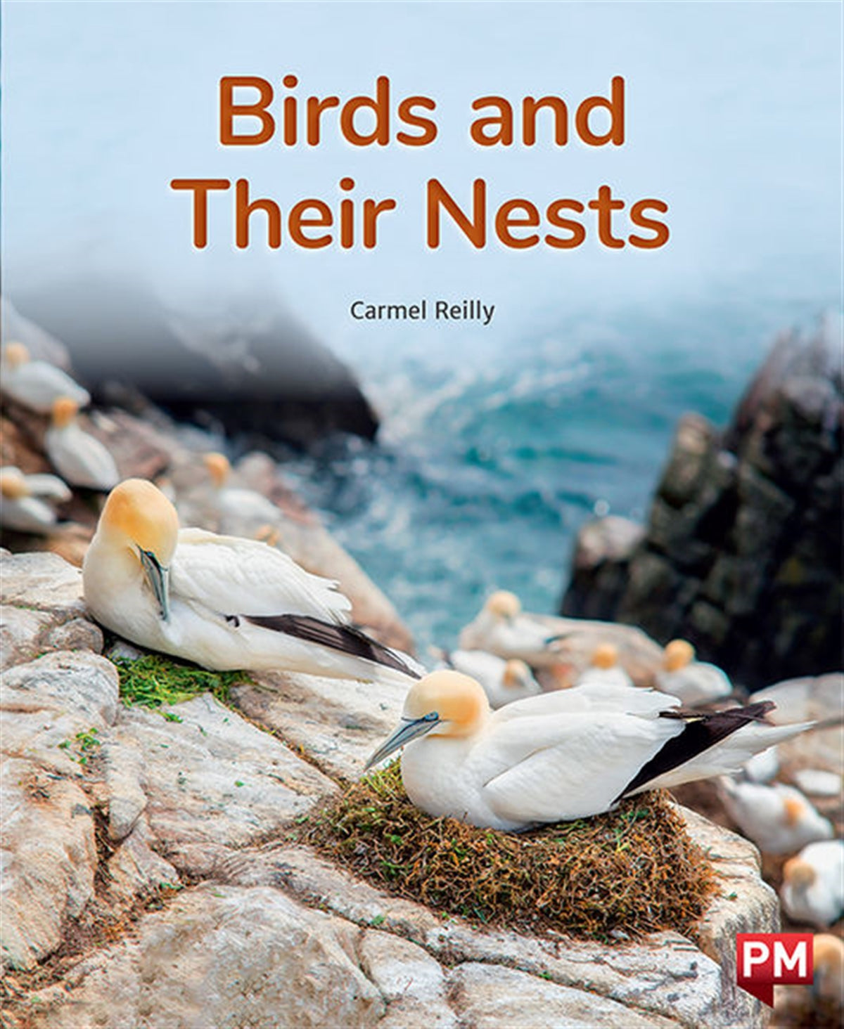Birds and Their Nests
