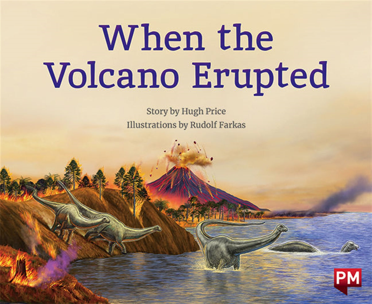 When the Volcano Erupted