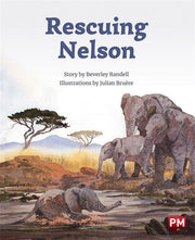 Rescuing Nelson