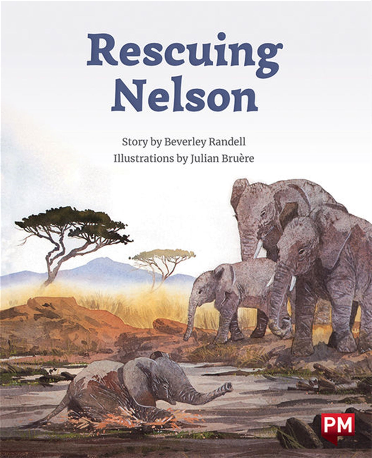 Rescuing Nelson