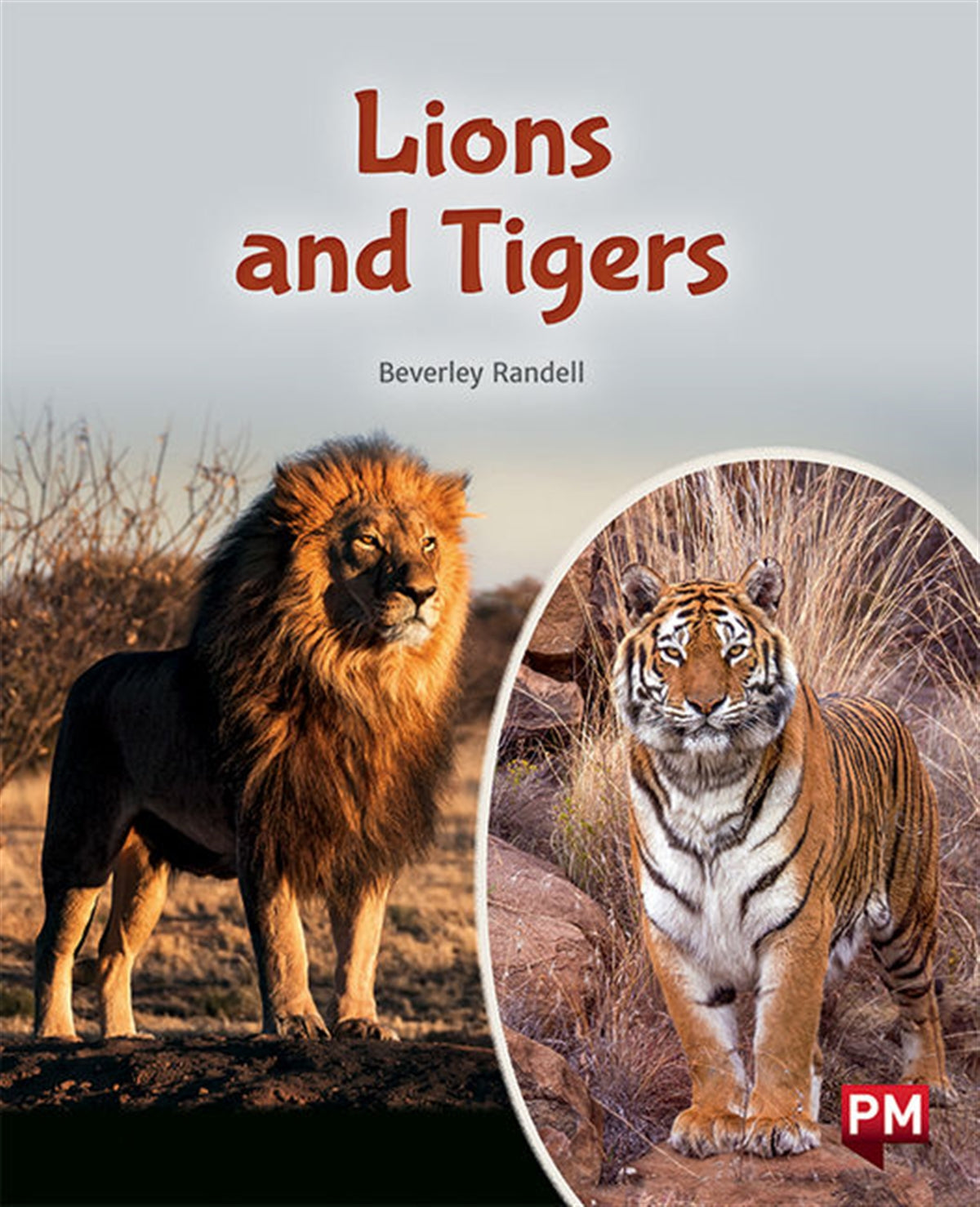 Lions and Tigers