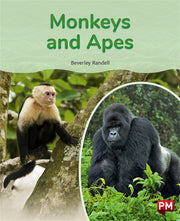 Monkeys and Apes