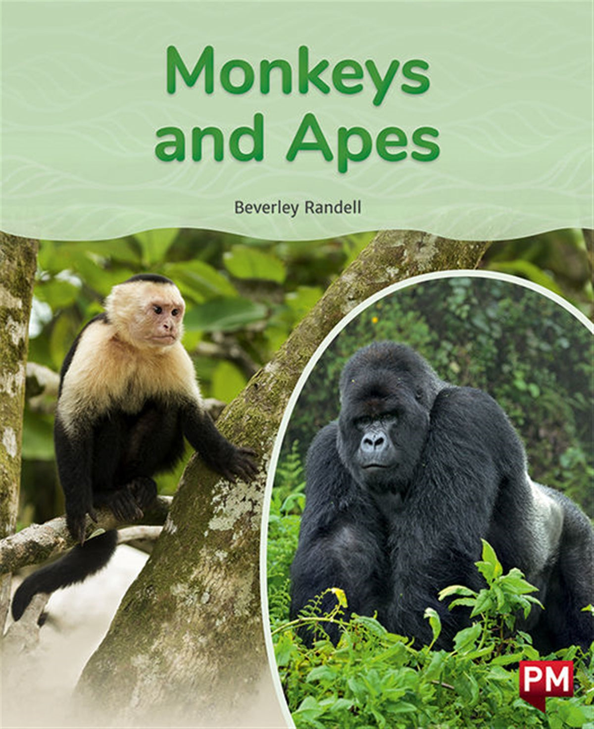 Monkeys and Apes