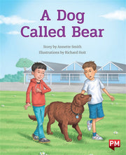 A Dog called Bear