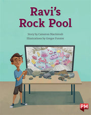 Ravi's Rockpool