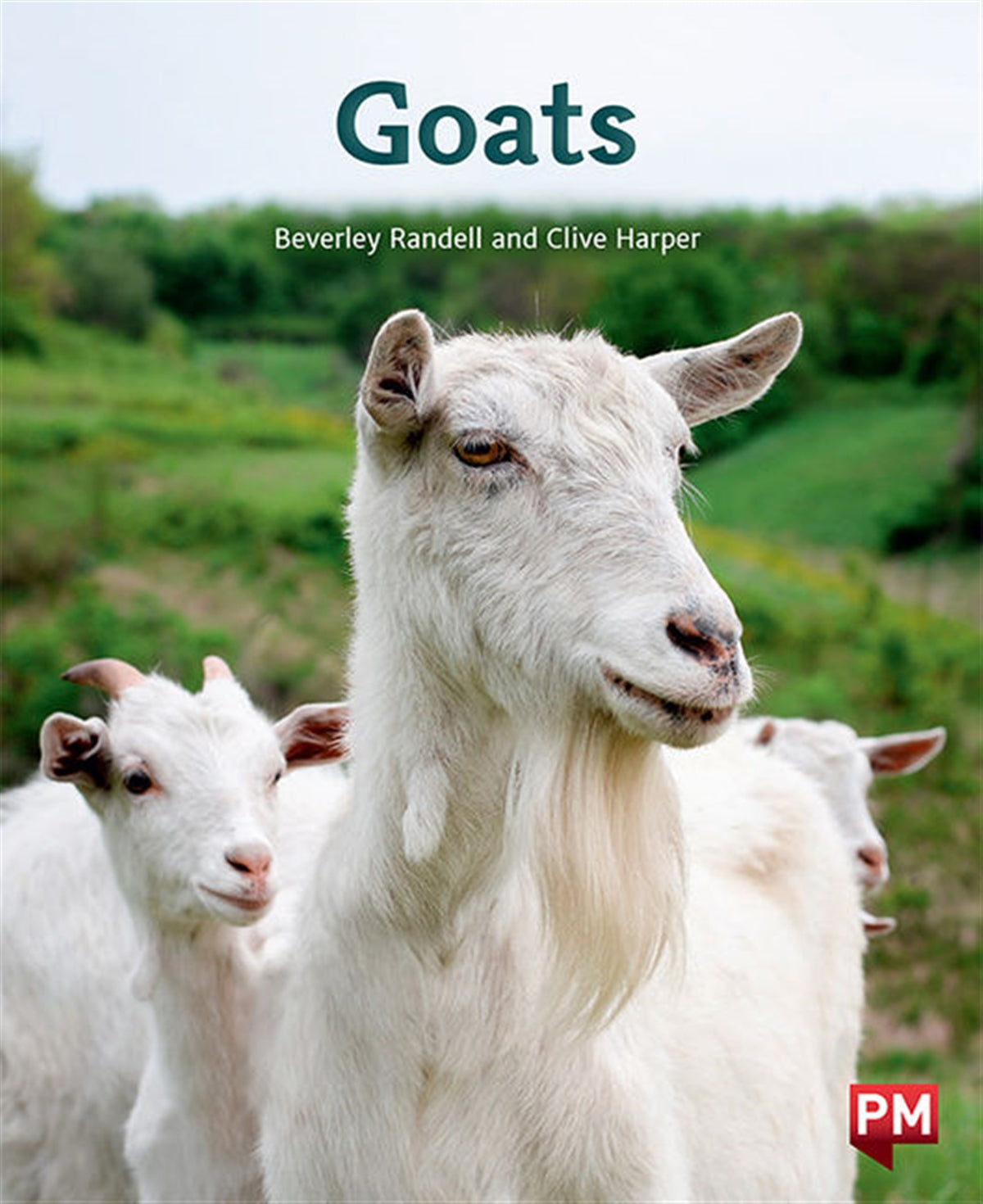 Goats