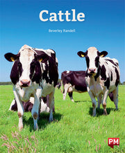 Cattle
