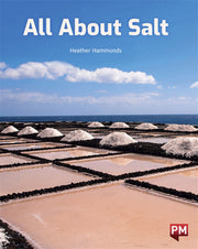 All About Salt