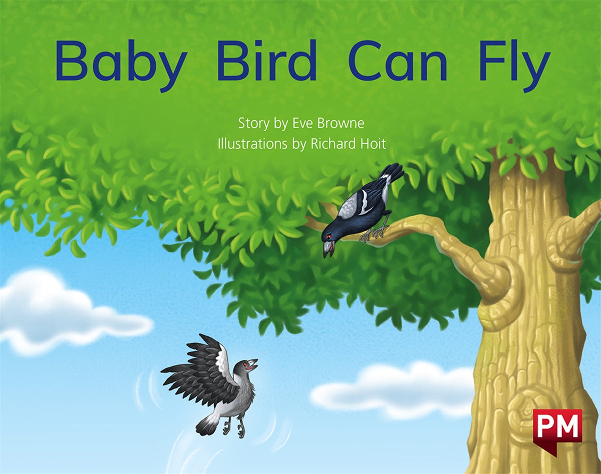 Baby Bird Can Fly