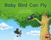 Baby Bird Can Fly