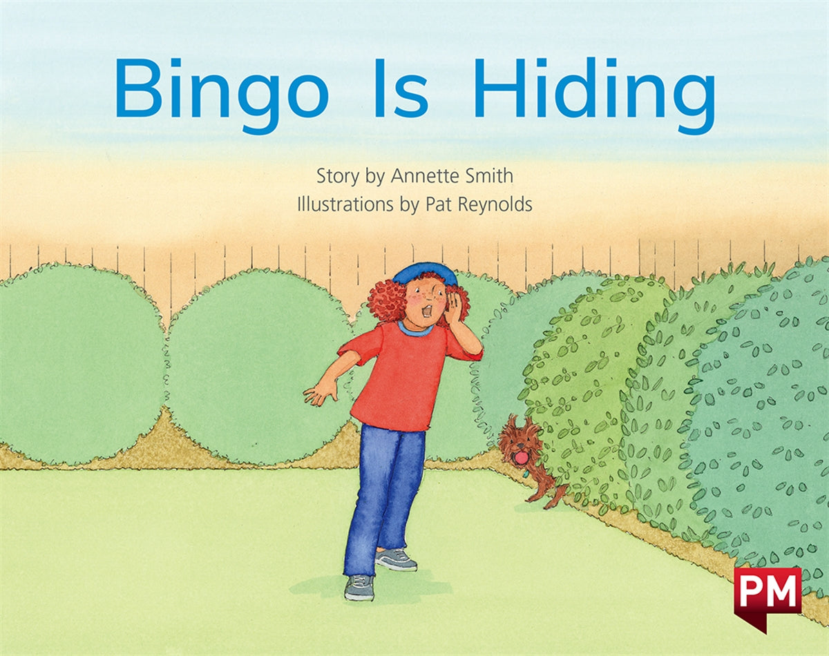 Bingo Is Hiding