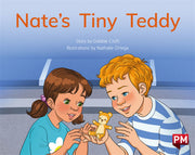 Nate's Tiny Teddy