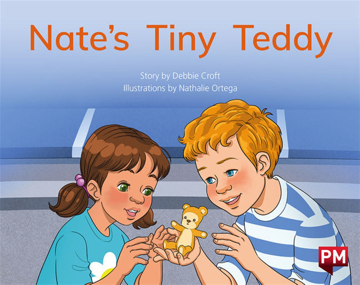 Nate's Tiny Teddy