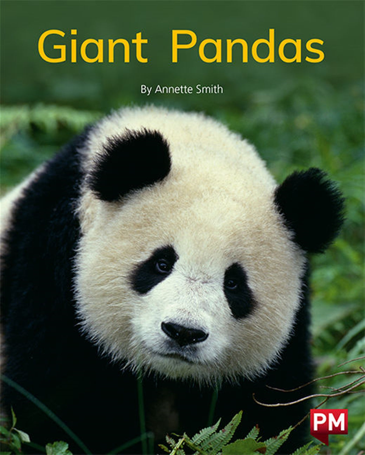 Giant Pandas