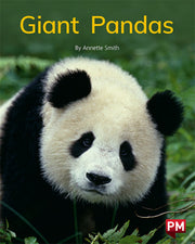 Giant Pandas