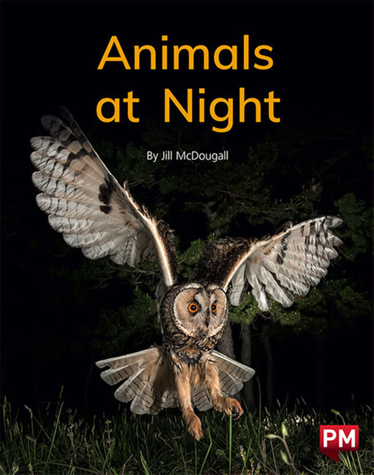 Animals at Night