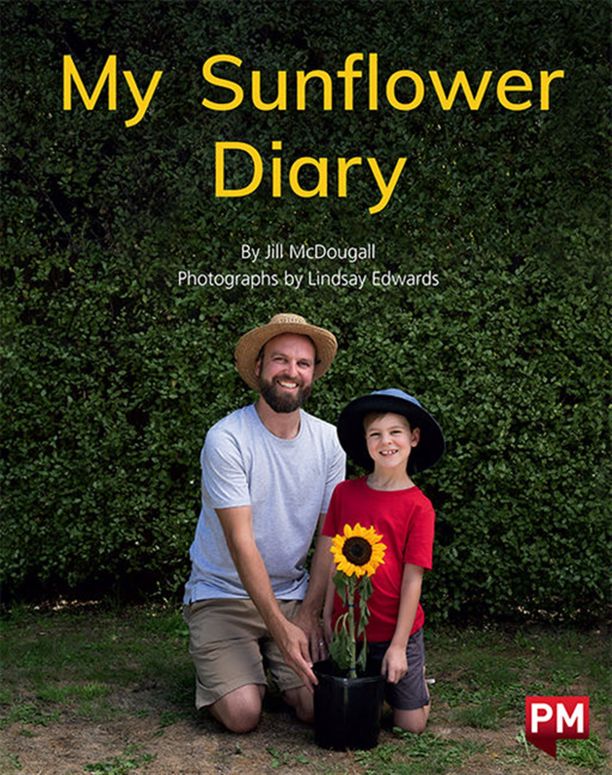 My Sunflower Diary
