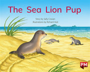 The Sea Lion Pup
