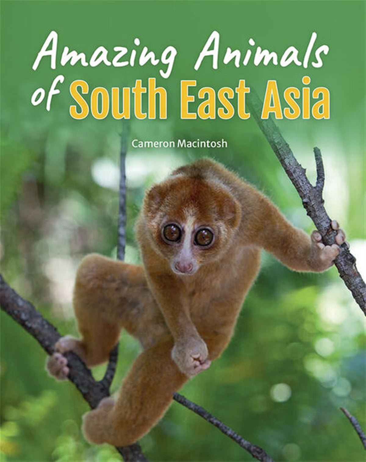 Animals of South-East Asia