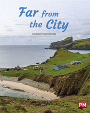 Far from the City