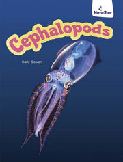 Cephalopods