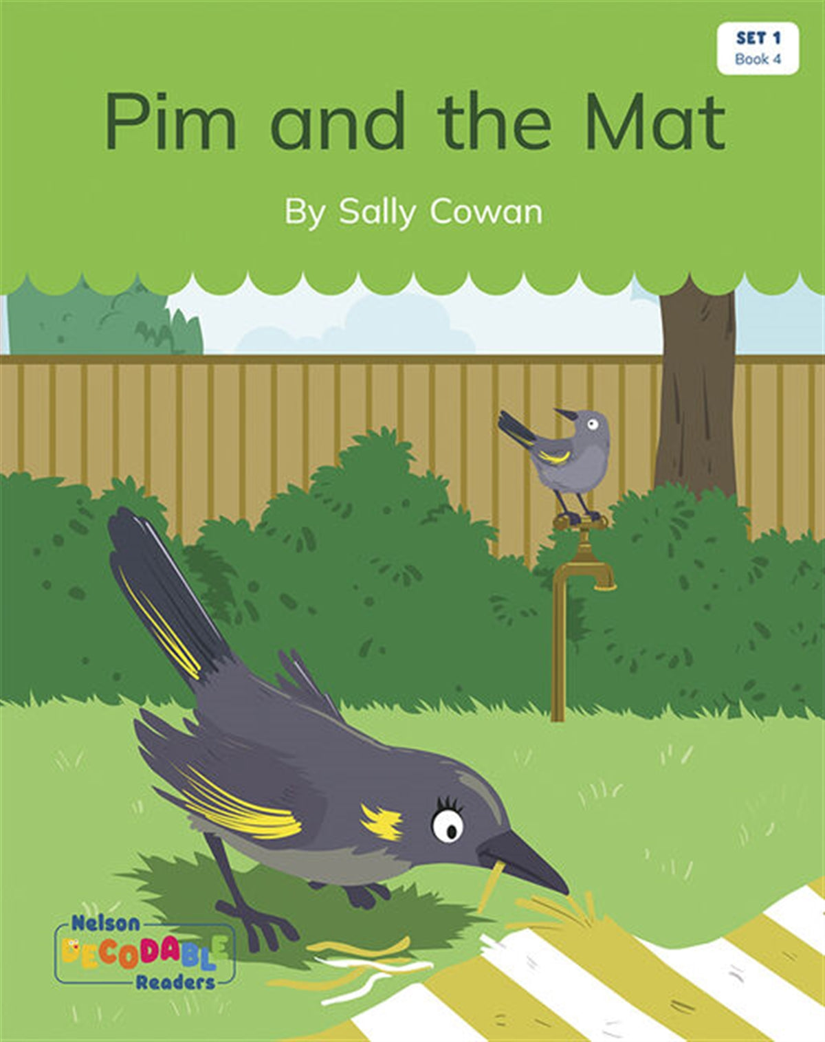 Pim and the Mat (Set 1, Book 4)