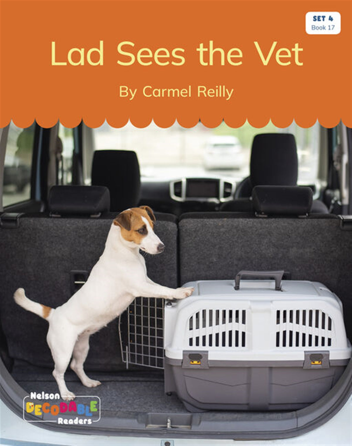 Lad Sees the Vet (Set 4, Book 17) - Nelson Decodable Readers