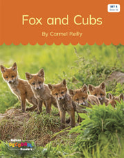 Fox and Cubs (Set 5 Book 15) - Nelson Decodable Readers
